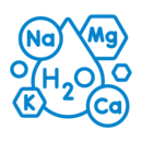 Mineral Absorption